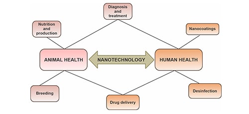 Contribution of Nanotechnology in Animal and Human Health Care | IAAM