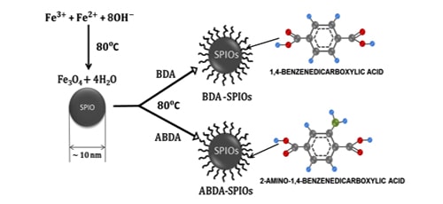 Easy-Synthesis of BDA/ABDA for Magnetic-Hyperthermia Application | IAAM